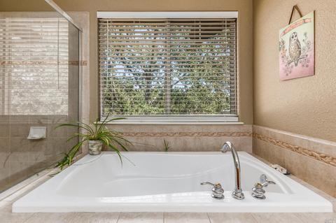 325 Maiden Ln, Windsor, CA 95492 photo 21