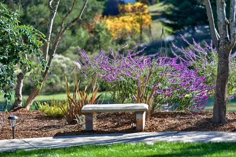 811 Jonive Rd, Sebastopol, CA 95472 photo 43