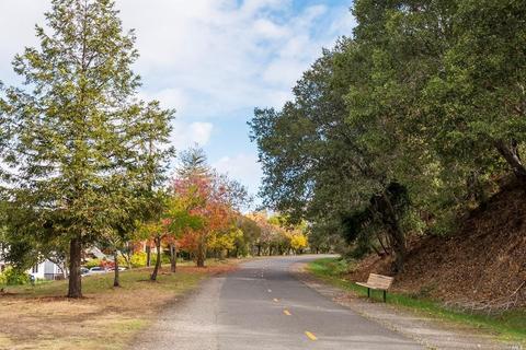 332 William Ave, Larkspur, CA 94939 photo 19
