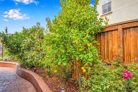 1839 Landmark Dr, Vallejo, CA 94591 photo 47
