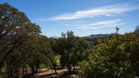 Undisclosed, Fairfield, CA 94534 photo 34