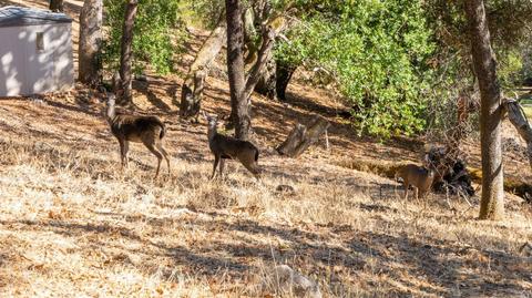 Undisclosed, Fairfield, CA 94534 photo 62