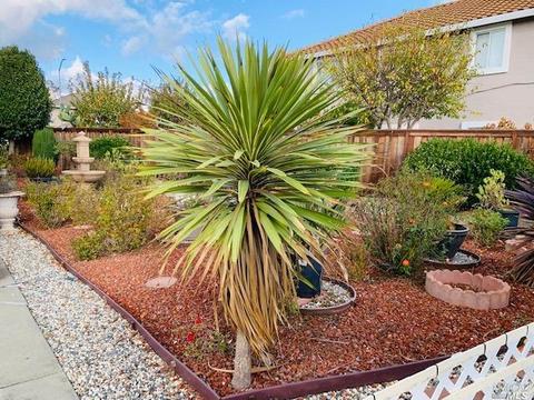 247 Glenview Cir, Vallejo, CA 94591 photo 28