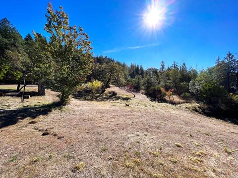 6900 Ridgewood Rd, Willits, CA 95490 photo 34