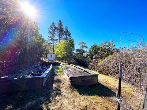 6900 Ridgewood Rd, Willits, CA 95490 photo 29