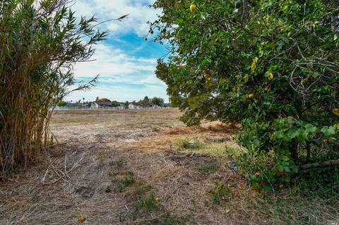 4383 Olive Ave, Fairfield, CA 94533 photo 22