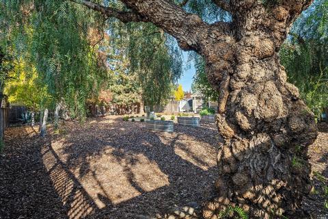794 E Macarthur St, Sonoma, CA 95476 photo 36