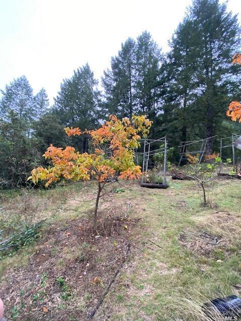 14200 Irmulco Rd, Willits, CA 95490 photo 13