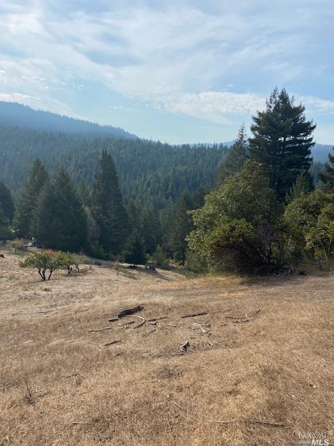 14200 Irmulco Rd, Willits, CA 95490 photo 10