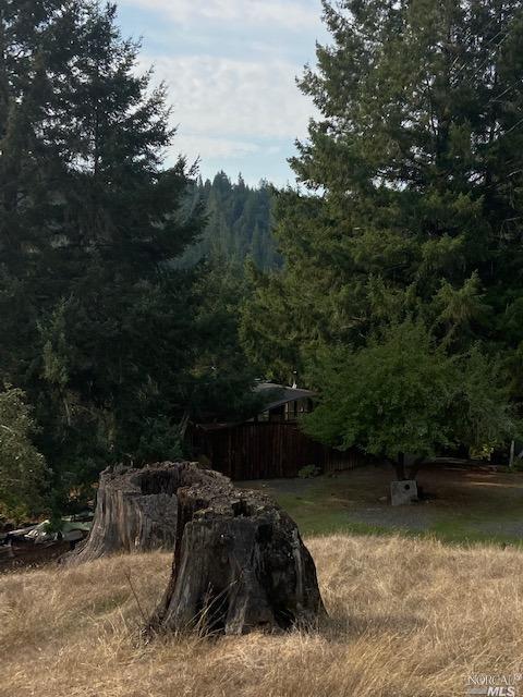 14200 Irmulco Rd, Willits, CA 95490 photo 7