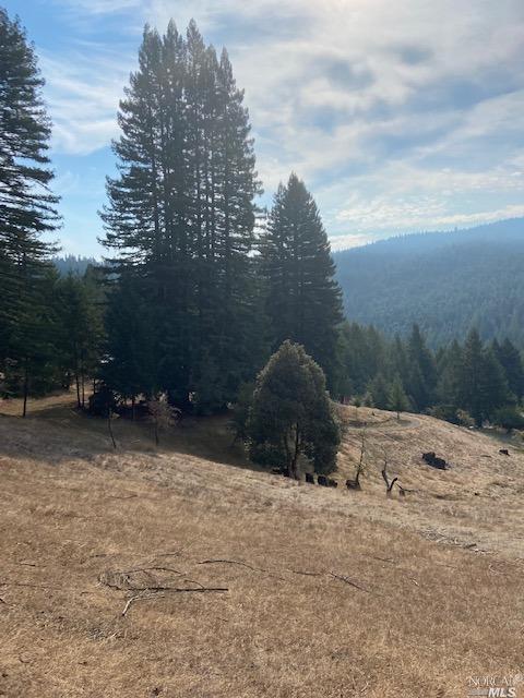 14200 Irmulco Rd, Willits, CA 95490 photo 9