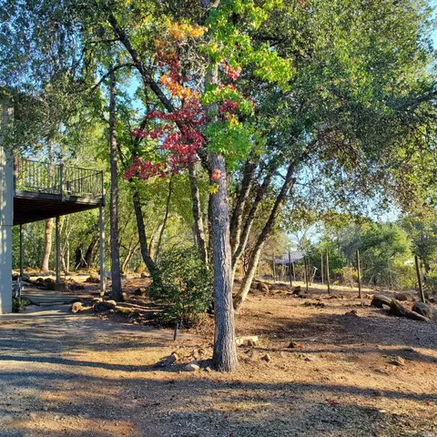 516 Viewridge Rd, Angwin, CA 94508 photo 34