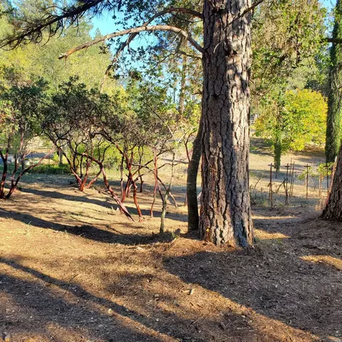 516 Viewridge Rd, Angwin, CA 94508 photo 41