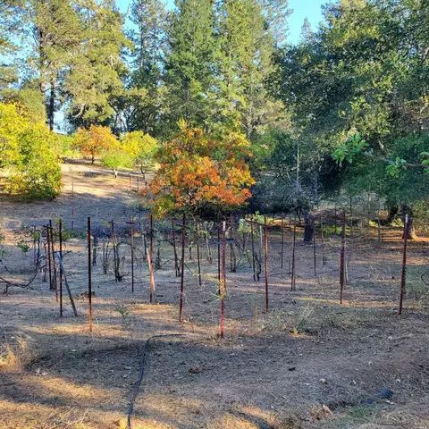 516 Viewridge Rd, Angwin, CA 94508 photo 42
