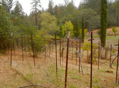 516 Viewridge Rd, Angwin, CA 94508 photo 40