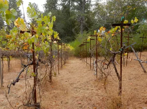 516 Viewridge Rd, Angwin, CA 94508 photo 39