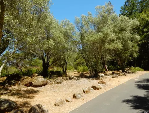 516 Viewridge Rd, Angwin, CA 94508 photo 3