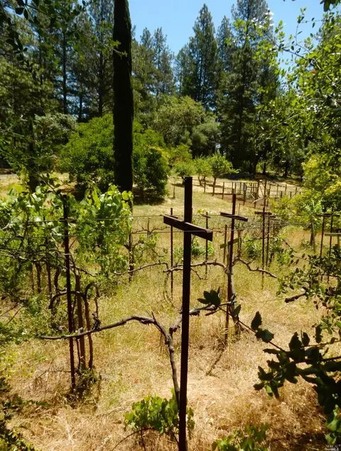 516 Viewridge Rd, Angwin, CA 94508 photo 44