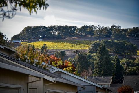 1 Vanessa Ct E, Napa, CA 94558 photo 18