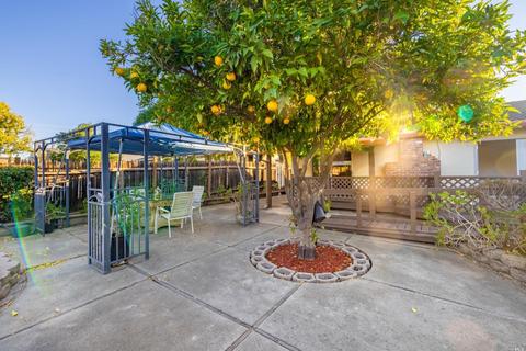 5505 Wilke Dr, Concord, CA 94521 photo 34