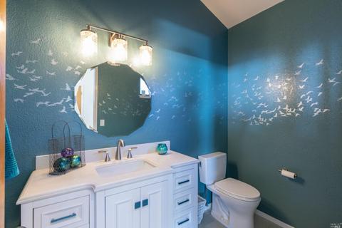 819 Owl Ct, Bodega Bay, CA 94923 photo 36