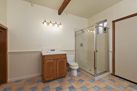 561 Salmon Creek Rd, Bodega, CA 94922 photo 10