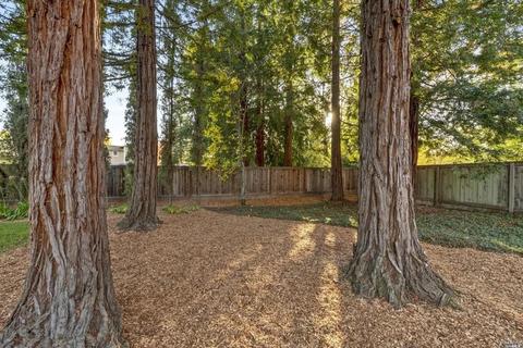 340 Windflower Ct, Windsor, CA 95492 photo 36