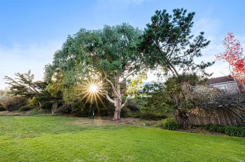 115 Prince Royal Dr, Corte Madera, CA 94925 photo 38