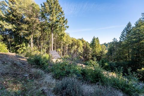 Undisclosed, Willits, CA 95490 photo 38