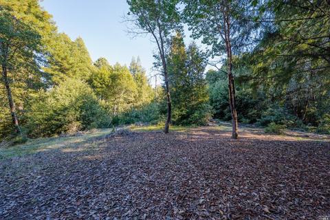 Undisclosed, Willits, CA 95490 photo 41