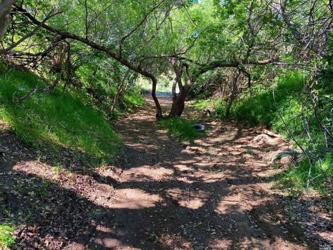 3931 Central Ln, Winters, CA 95694 photo 72