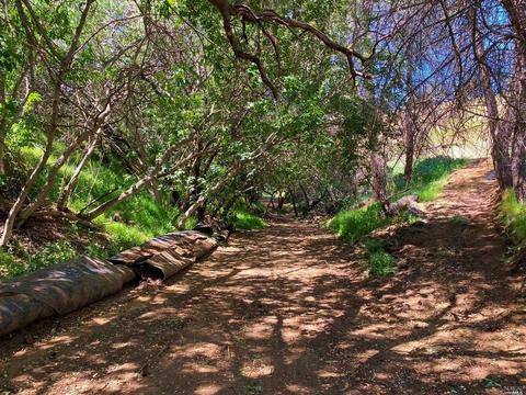 3931 Central Ln, Winters, CA 95694 photo 70