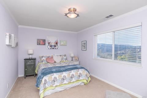 606 Noah Ct, Napa, CA 94558 photo 22