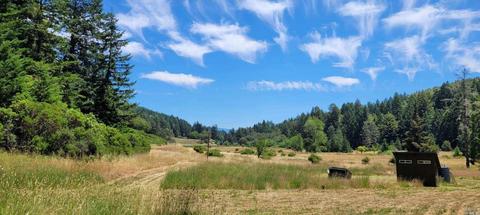 31250 Sherwood Rd, Willits, CA 95490 photo 1