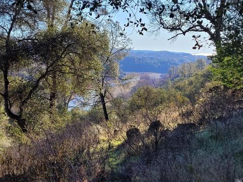 1172 Deputy Dr, Pope Valley, CA 94567