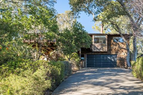 22 Myrtle Ave, Mill Valley, CA 94941 photo 1