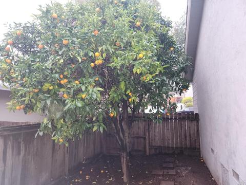 122 Mar Monte Ct, Vallejo, CA 94590 photo 20