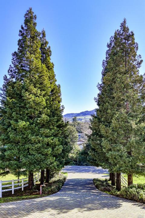 1061 3rd Ave, Napa, CA 94558 photo 41
