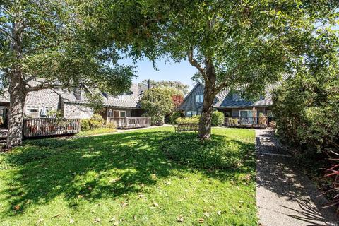 737 Miller Ave, Mill Valley, CA 94941 photo 15
