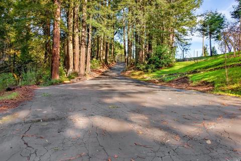 4200 Joy Rd, Occidental, CA 95465 photo 55