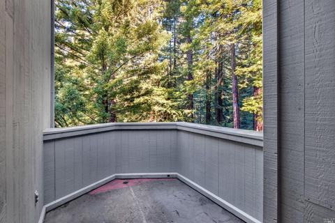 4200 Joy Rd, Occidental, CA 95465 photo 18
