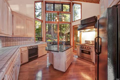 4200 Joy Rd, Occidental, CA 95465 photo 22