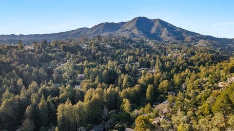 55 Eldridge Ave, Mill Valley, CA 94941 photo 66