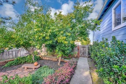 390 W Cotati Ave, Cotati, CA 94931 photo 52