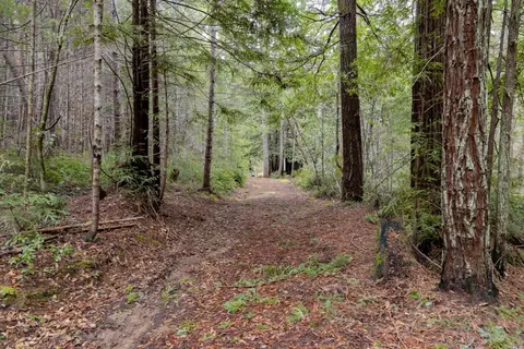 Other - 20400 Timber Rd, Willits, CA 95490 photo 10 of 10