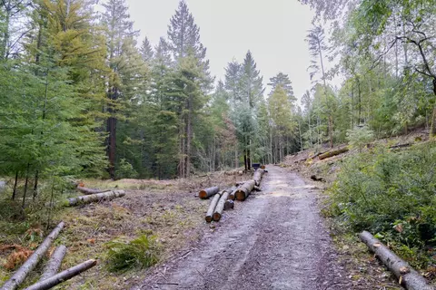 View/Area - 20400 Timber Rd, Willits, CA 95490 photo 5 of 6