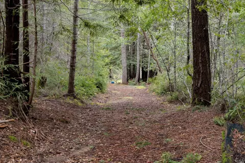 Exterior - 20400 Timber Rd, Willits, CA 95490 photo 13 of 16