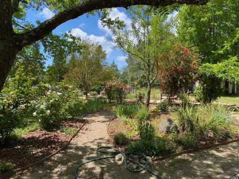 3625 Edison St, Graton, CA 95444 photo 39
