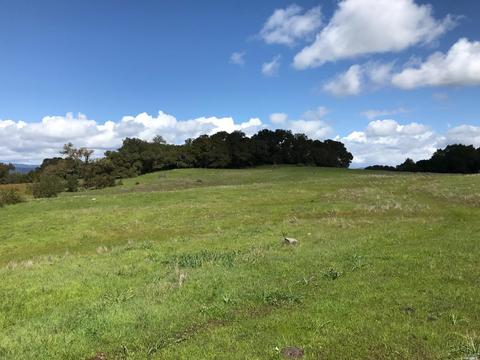 12200 Brooks Rd, Windsor, CA 95492 photo 9