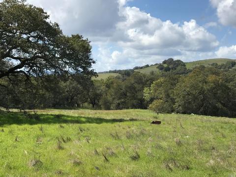 12200 Brooks Rd, Windsor, CA 95492 photo 5